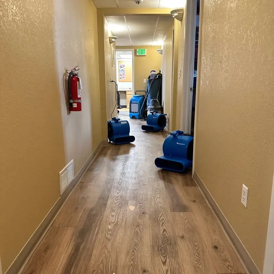 Blue air movers placed along a wood-floored hallway